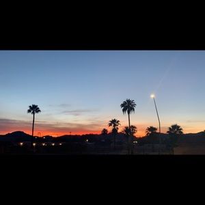 Meet your Posher, Trevor